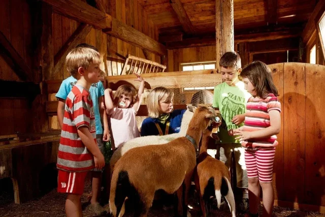 urlaub mit kindern,zillertal,tirol