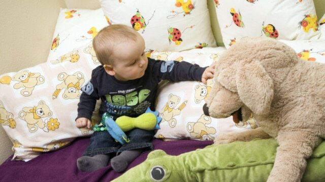 Holidays with babies and toddlers 1 baby stofftier