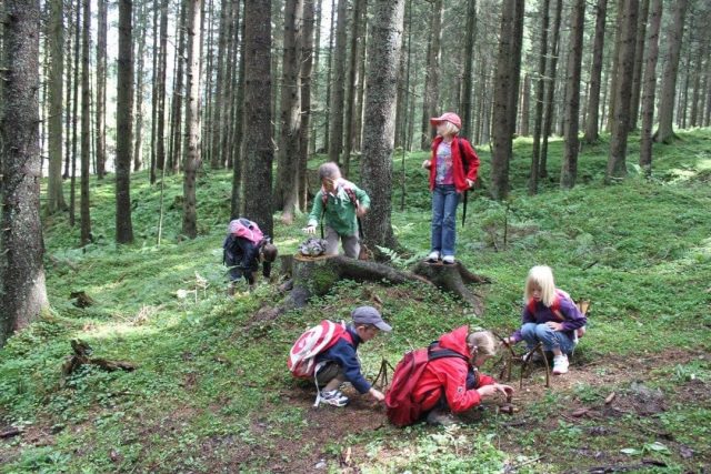 kinderclub wandern wald