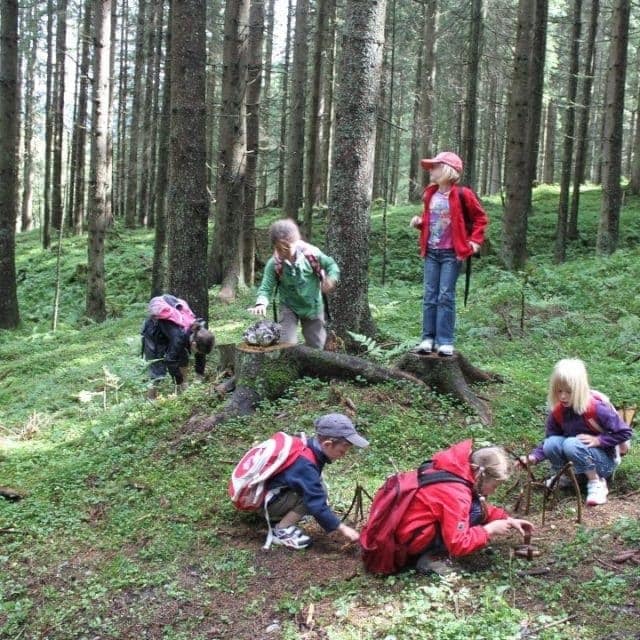 kinderclub wandern wald