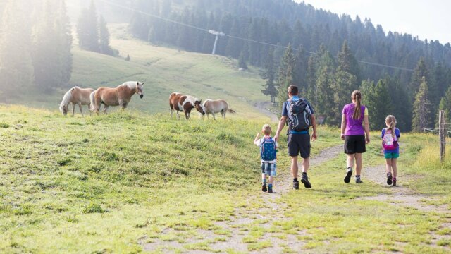 wandern familie zillertalarena