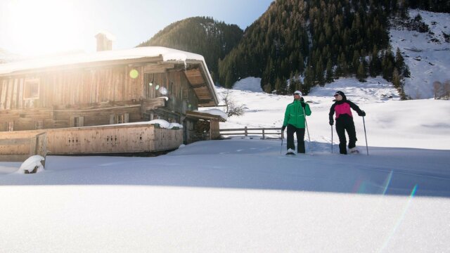 winter schneeschuh zillertal