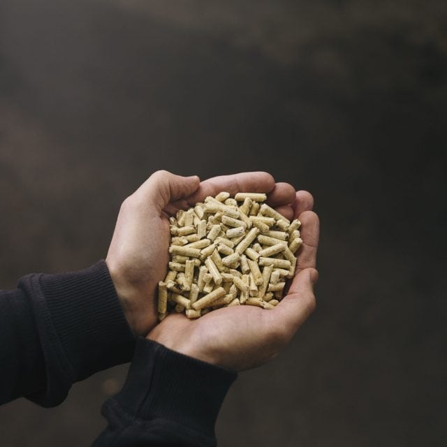 umwelt,nachhaltigkeit,almhof gerlos