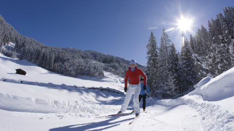Langlauf Skating