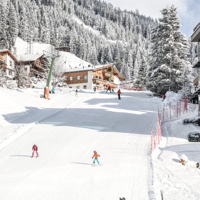 Almhof Skifahrer 2