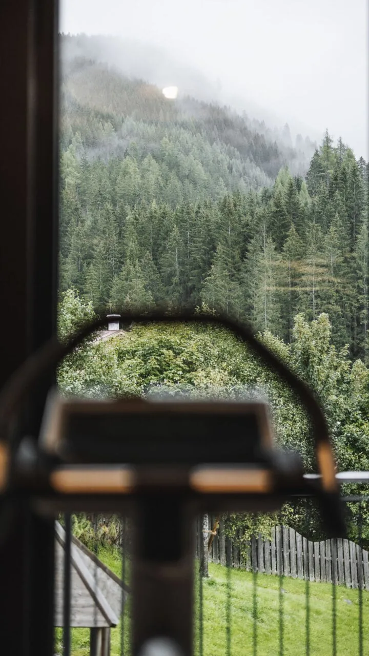 Blick auf bewaldete Berge durch ein Fenster.
