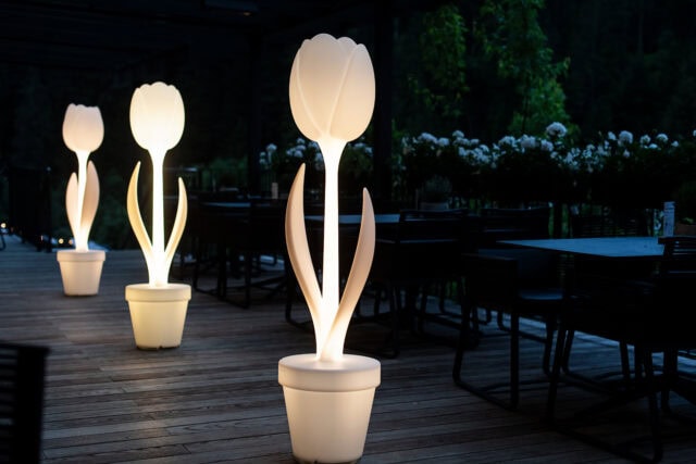 Leuchtende Tulpen auf einer Terasse