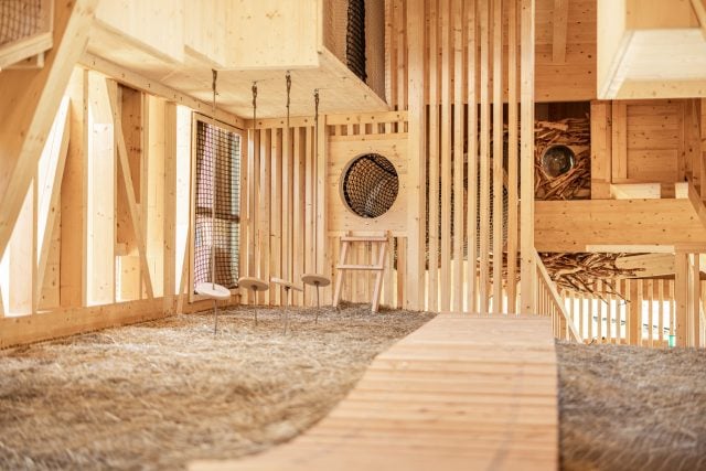 almi opolis detailansicht heuboden mit kletterparkour und vogelnest