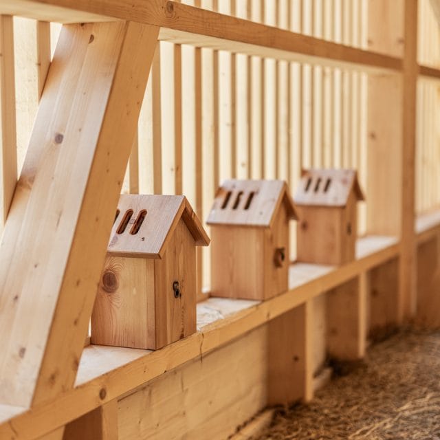 almi opolis detailansicht vogelhäuschen innen almi opolis detailansicht vogelhäuschen innen