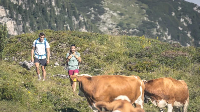 15 wandern gerlosstein